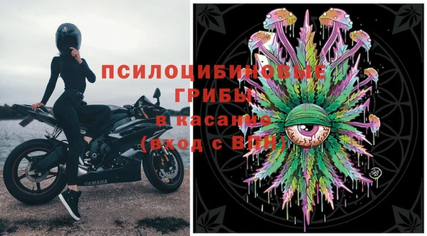 молекула духа Алзамай