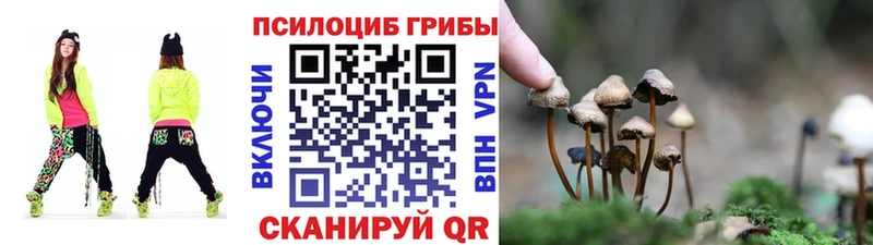 Псилоцибиновые грибы Psilocybine cubensis  Болгар 