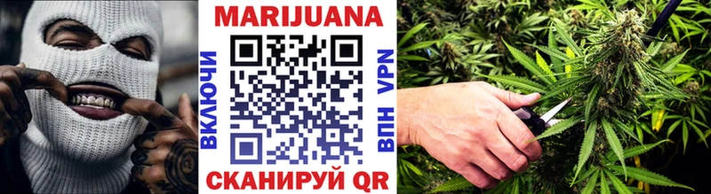 где купить   сайты даркнета как зайти  Бошки марихуана THC 21%  Болгар 